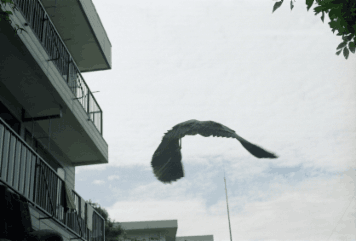 アルバム「北前三歩」の写真 (23552)