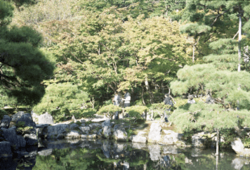 アルバム「東山散歩」の写真 (23632)