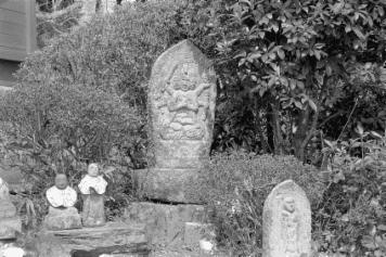 アルバム「キリシタン紀行」の写真 (23696)