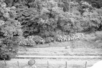 アルバム「みちのおく」の写真 (24034)