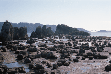 アルバム「南紀行」の写真 (24520)