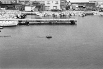 アルバム「みちのおく」の写真 (24768)