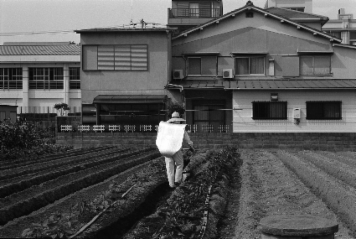 アルバム「大坂細見」の写真 (24781)