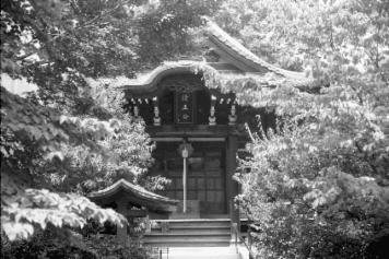 アルバム「大江戸細見」の写真 (25113)