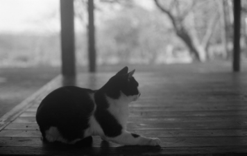アルバム「くつのあと」の写真 (25154)