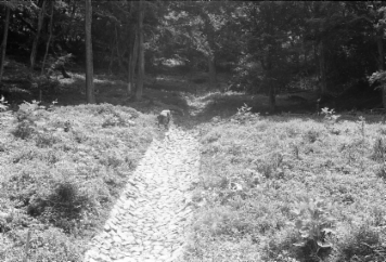 アルバム「井月記」の写真 (26163)