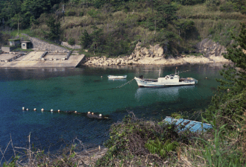 アルバム「湖西行」の写真 (26200)