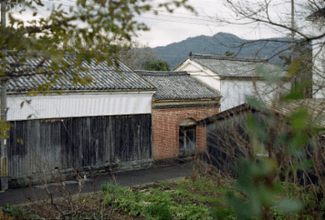 アルバム「湯浅・広川・黒江散歩」の写真 (2631)