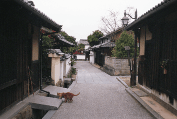 アルバム「しかくしこくき」の写真 (26401)