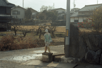 アルバム「大和五條散歩」の写真 (2644)