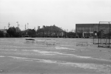 アルバム「知多散歩」の写真 (2858)