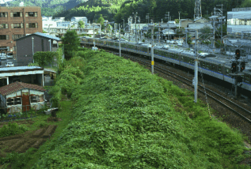 アルバム「園部・亀岡散歩」の写真 (2975)