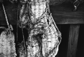 アルバム「きたぐに行」の写真 (3035)