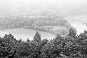 アルバム「日向白樺散歩」の写真 (3137)