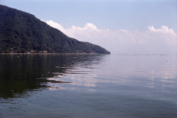 アルバム「海津散歩」の写真 (3459)