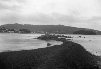 アルバム「くつのあと」の写真 (3551)