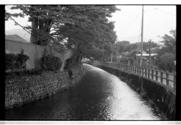 アルバム「みちのおく」の写真 (3575)