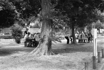 アルバム「大坂細見」の写真 (3648)