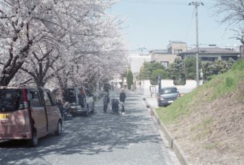 アルバム「大坂細見」の写真 (3742)