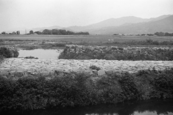 アルバム「くつのあと」の写真 (3773)