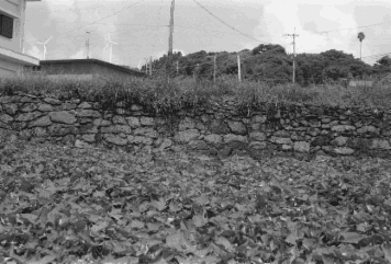 アルバム「坊津まで」の写真 (3813)