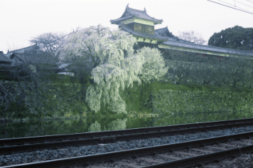 アルバム「奈良散歩」の写真 (3814)