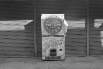 アルバム「加茂散歩」の写真 (3910)