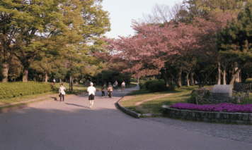 アルバム「大坂細見」の写真 (4020)