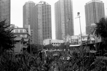 アルバム「大江戸細見」の写真 (4058)
