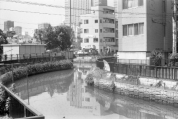 アルバム「大江戸細見」の写真 (4097)