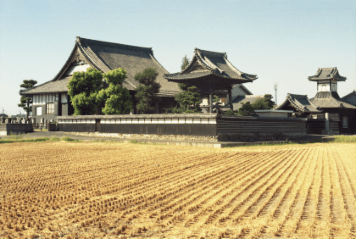 アルバム「北伊勢散歩」の写真 (4113)