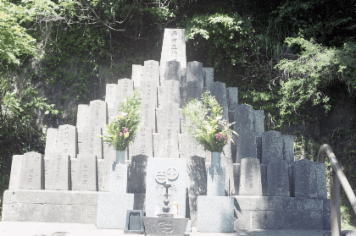 アルバム「日向白樺散歩」の写真 (424)