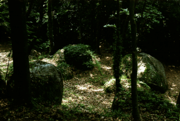 アルバム「参州行」の写真 (4389)