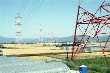 アルバム「奄美沖縄紀行1」の写真 (44532)