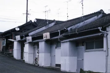 アルバム「奄美沖縄紀行1」の写真 (44536)