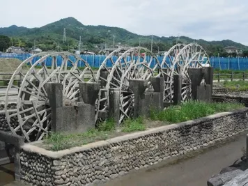 アルバム「奄美沖縄紀行1」の写真 (44558)