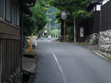 アルバム「奄美沖縄紀行1」の写真 (44561)