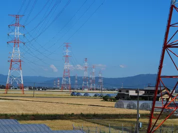 アルバム「奄美沖縄紀行1」の写真 (44575)