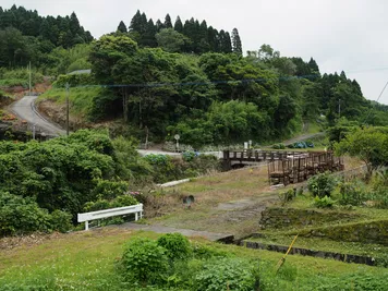 アルバム「奄美沖縄紀行1」の写真 (44628)