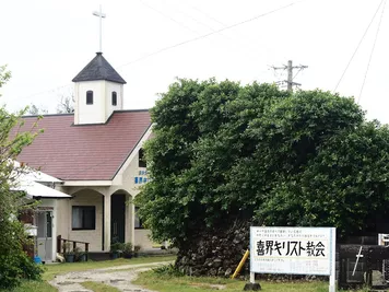 アルバム「奄美沖縄紀行2」の写真 (44693)