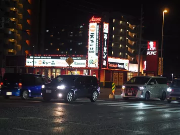 アルバム「奄美沖縄紀行2」の写真 (44724)