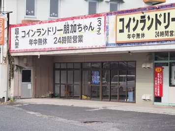 アルバム「奄美沖縄紀行2」の写真 (44751)