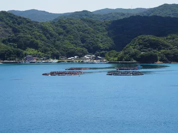 アルバム「天草・長崎教会建築散歩」の写真 (44776)