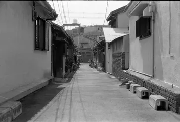 アルバム「堺散歩」の写真 (44814)