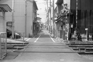 アルバム「堺散歩」の写真 (44816)