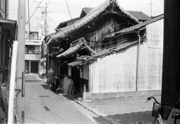 アルバム「堺散歩」の写真 (44819)