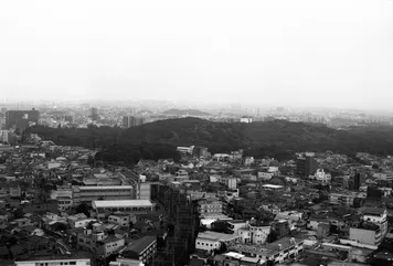 アルバム「堺散歩」の写真 (44862)