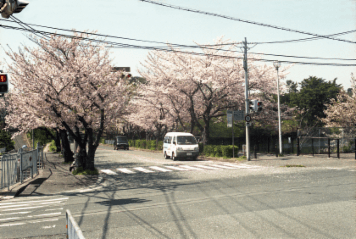 アルバム「大坂細見」の写真 (4502)