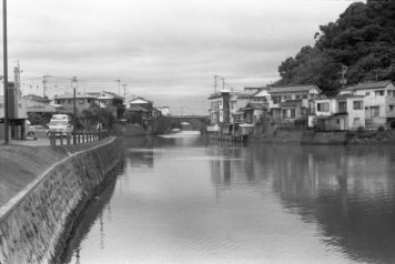 アルバム「日向白樺散歩」の写真 (4514)