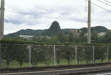 アルバム「坊津まで」の写真 (4663)